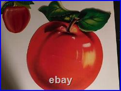 8 Vintage Colorful RED Apple Ads Pictures Store Display