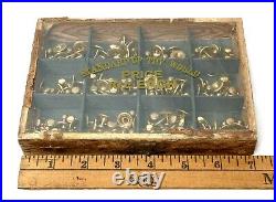 Antique Vintage Clothing King Shirt Studs Store Counter Sales Display Box