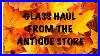 Glass-Haul-From-The-Antique-Store-01-xe