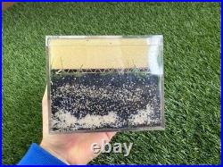 Nike Advertising Piece Nike Grind Field Turf Sample Store Display turf shoes VTG