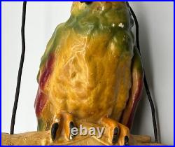 VINTAGE POLL PARROT SHOES Advertising Store Sign Plaster Parrot