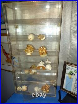 VTG Acrylic Double Door Store Rotating Watch Display Case 24