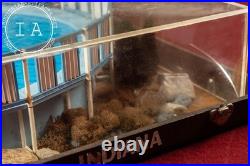 Vintage Bermuda King 84 Salesman's Sample Pool Display in Case