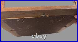 Vintage Country Store Display Case Naturalistic Diorama Field with Butterfly