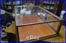 Vintage Original Country Store Wood Oak Glass Display Case Countertop Showcase