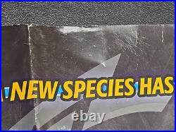 Vintage Pokemon EX Delta Species Poster TCG 20x27 Nintendo Store Display Promo