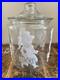 Vintage-Ramon-s-The-Little-Doctor-General-Country-Store-Glass-Counter-Bulk-Jar-01-zzbl