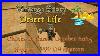 Vintage-Story-Desert-Life-Chores-Stream-1-October-2025-20-30-Edt-Gmt-4-01-et